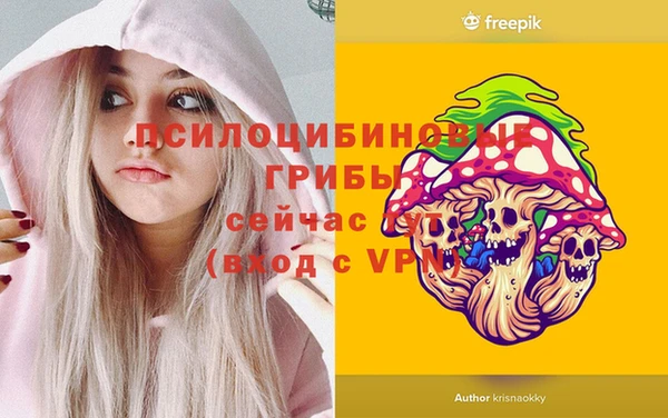ГАЛЛЮЦИНОГЕННЫЕ ГРИБЫ Белоозёрский