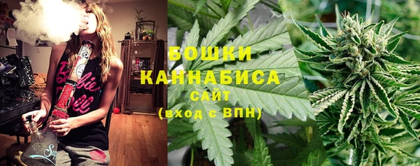 твердый Белокуриха