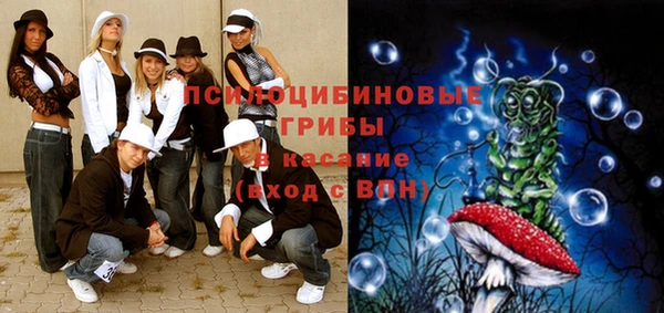 твердый Белокуриха