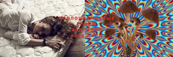 ГАЛЛЮЦИНОГЕННЫЕ ГРИБЫ Белоозёрский
