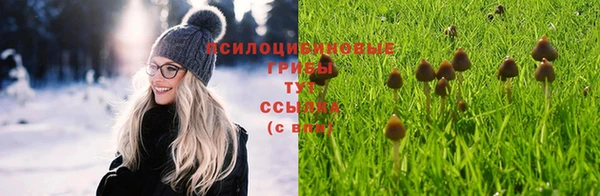 твердый Белокуриха